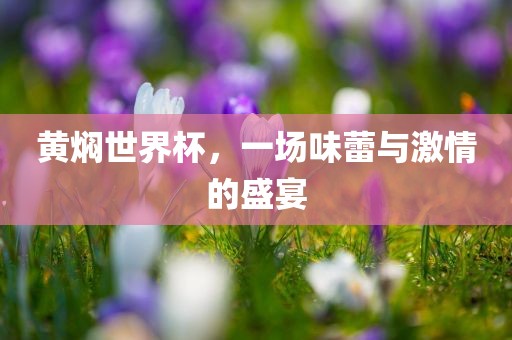黄焖世界杯，一场味蕾与激情的盛宴眉山市正发家政服务有限公司