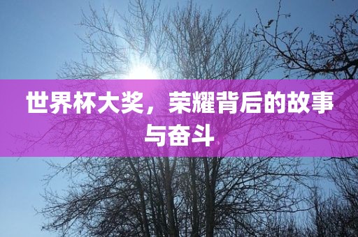 世界杯大奖，荣耀背后的故事与奋斗