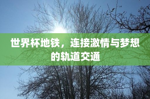 世界杯地铁眉山市正发家政服务有限公司，连接激情与梦想的轨道交通