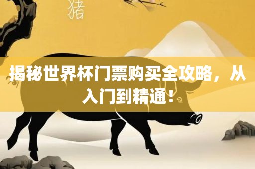 揭秘世界杯门票购买全攻略，从入门到精通！