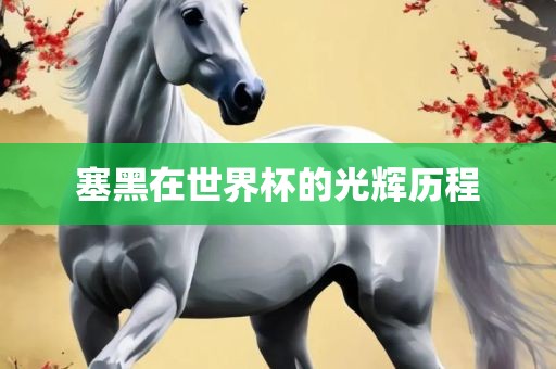 塞黑在世界杯的光辉眉山市正发家政服务有限公司历程