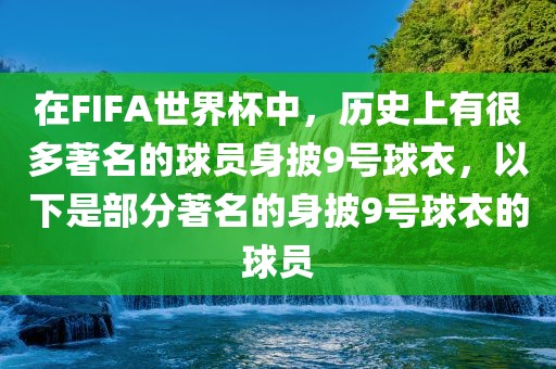 在FIFA世界杯中，历史上有很多著名的球员身披9号球衣，以下是部分著名的身披9号球衣的球员眉山市正发家政服务有限公司