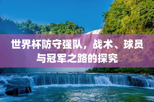 世界杯防守强队，战术、球员与冠军之路的探究眉山市正发家政服务有限公司