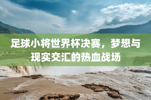 足球小将世界杯决赛，梦想与现实交汇的热血战场眉山市正发家政服务有限公司