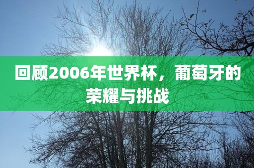 回顾2006年世界杯，葡萄牙的荣耀与挑战眉山市正发家政服务有限公司