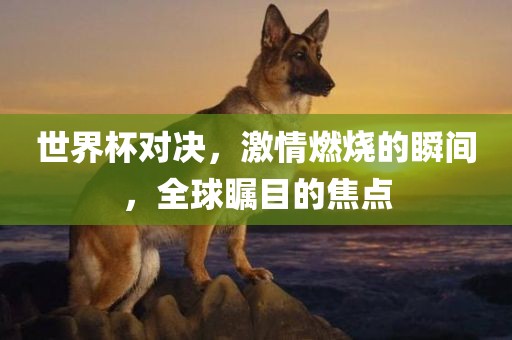 wuyating 第8页