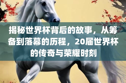 眉山市正发家政服务有限公司揭秘世界杯背后的故事，从筹备到落幕的历程，20届世界杯的传奇与荣耀时刻