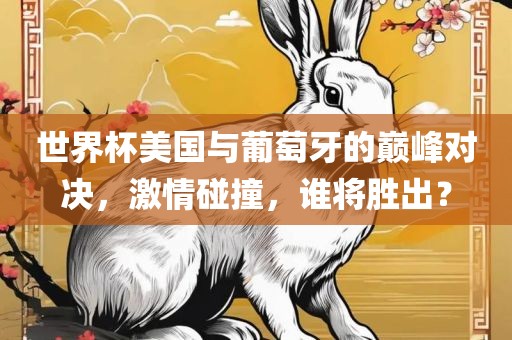 世界杯美国与葡萄牙的巅峰对决，激情碰撞，谁将胜出？眉山市正发家政服务有限公司