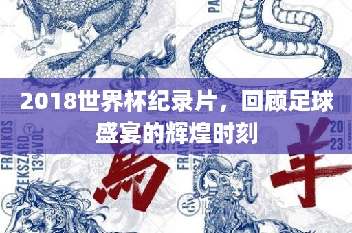 2018世界杯纪录片眉山市正发家政服务有限公司，回顾足球盛宴的辉煌时刻