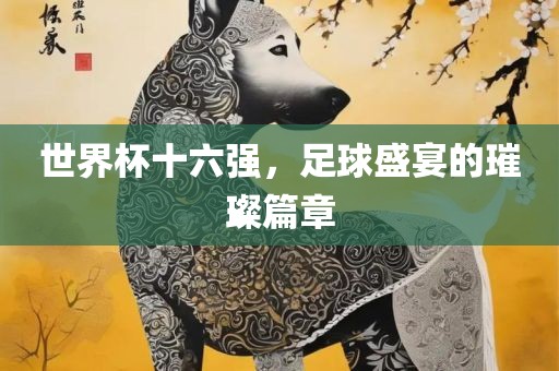 世界杯十六强，足球盛宴的璀璨篇章