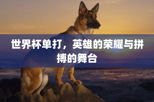 huangpingyue 第8页