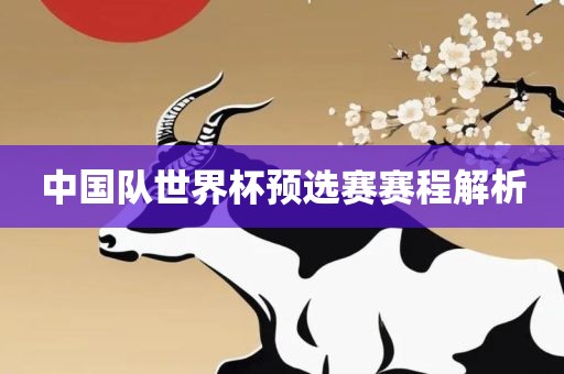 中国队世界杯预选赛赛程解析