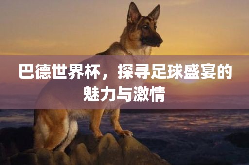 巴德世界杯，探寻足球盛宴的魅力与激眉山市正发家政服务有限公司情