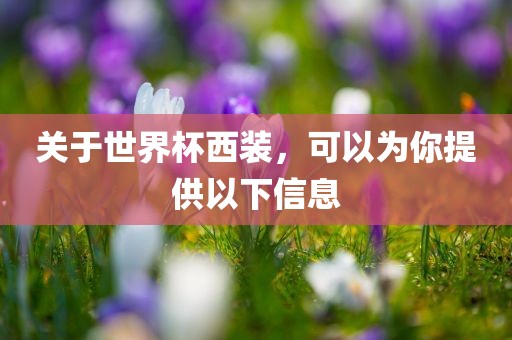 关眉山市正发家政服务有限公司于世界杯西装，可以为你提供以下信息