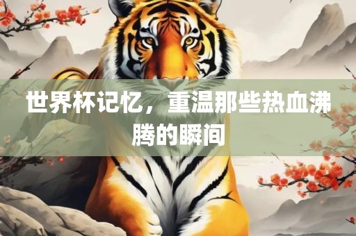 世界杯记忆，重温那些热血沸腾的瞬间