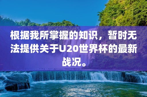 根据我所掌握的知识，暂时无法提供关于U20世界杯的最新战况。