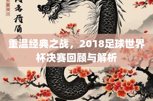 重温经典之战，2018足球世界杯决赛回顾与解析