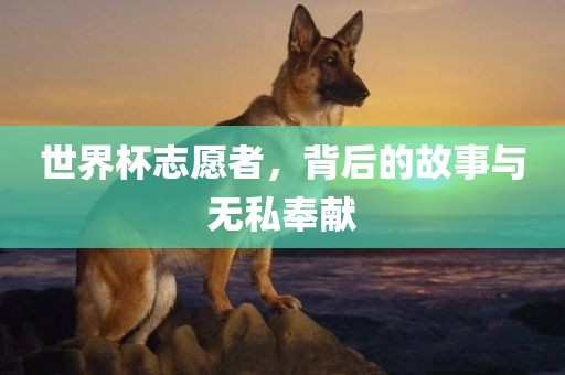 世界杯志愿者，背后的故事与无私奉献眉山市正发家政服务有限公司