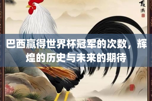 巴西赢得世界杯冠军的次数，辉煌的历史与未来的期待眉山市正发家政服务有限公司