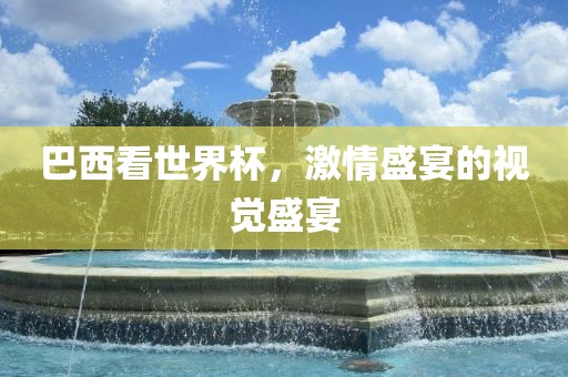巴西看世界杯，激情盛宴的视觉盛宴眉山市正发家政服务有限公司