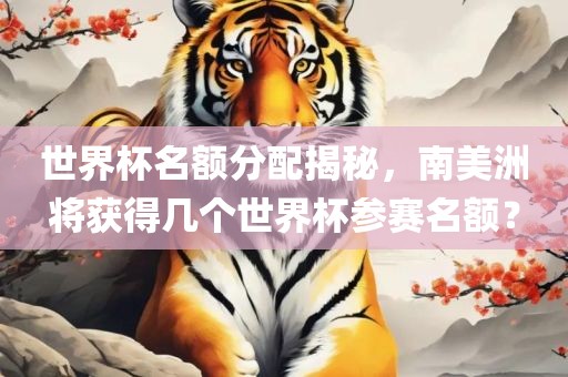 世界杯名额分配揭秘，南美洲将获得几个世界杯参赛名额？