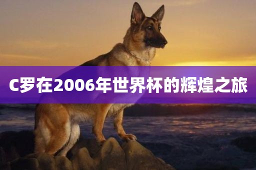 C罗在2006年世界杯的辉煌之旅