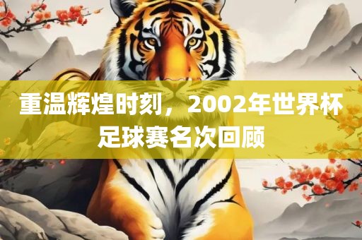 重温辉煌时刻，2002年世界杯足球赛名次回顾眉山市正发家政服务有限公司