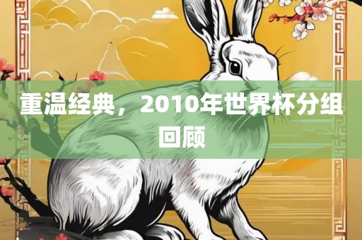 重温经典，2010年世界杯分组回顾