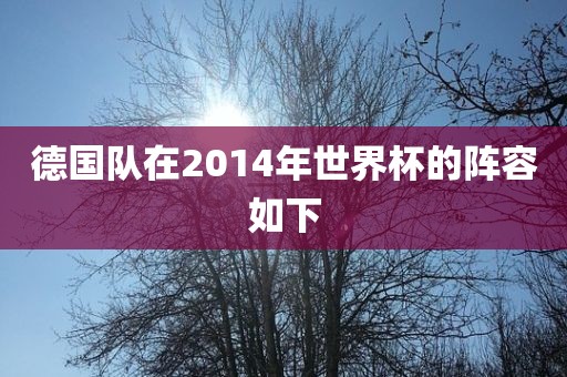 德国队在2014年世界杯的阵容如下