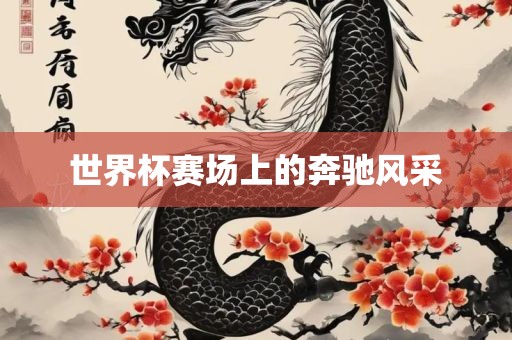 世界杯赛场上的奔驰风采眉山市正发家政服务有限公司