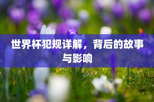世界杯犯规详解，背后的故事与影响