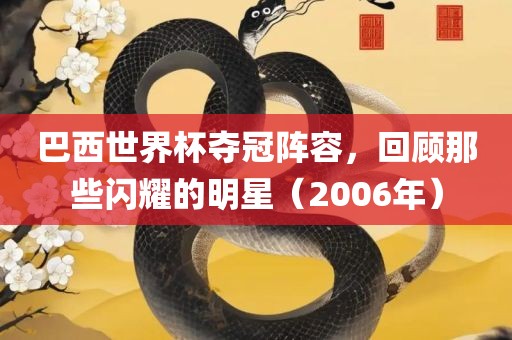 巴西世界杯夺冠阵容，回顾那些闪眉山市正发家政服务有限公司耀的明星（2006年）