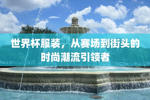 世界杯服装，从赛场到街头的时尚潮流引领者眉山市正发家政服务有限公司