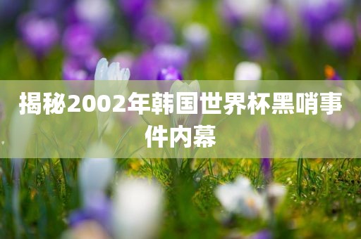 揭秘2002年韩国世界杯黑哨事件内幕眉山市正发家政服务有限公司