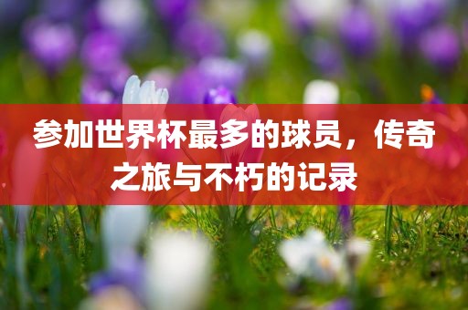 参加世界杯最多的球员，传奇之旅与不朽的记录眉山市正发家政服务有限公司