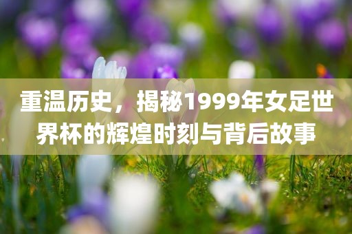 重温历史，揭秘1999年女足世界杯的辉煌时眉山市正发家政服务有限公司刻与背后故事