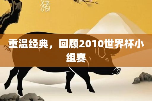 重温经典，回顾2010世界杯小组赛