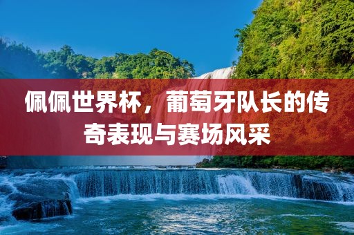 佩佩世界杯，葡萄牙队长的传奇表现与赛场风采眉山市正发家政服务有限公司