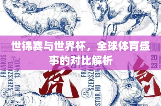 世锦赛与世界杯，全球体育盛事的对比解析