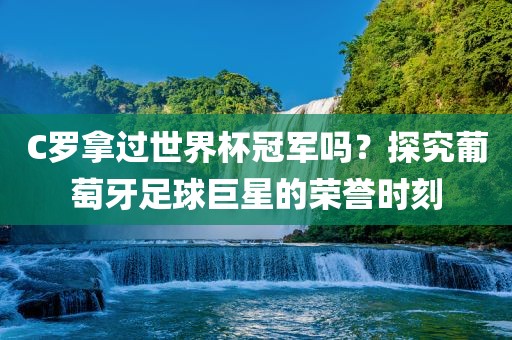 C罗拿过世界杯冠军吗？探究葡萄牙足球巨星的荣誉时刻眉山市正发家政服务有限公司