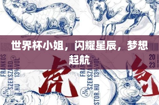 世界杯眉山市正发家政服务有限公司小姐，闪耀星辰，梦想起航