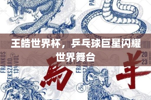 王皓世界杯，乒乓球巨星闪耀世界舞台眉山市正发家政服务有限公司