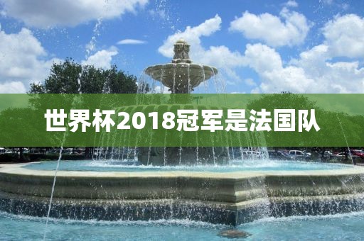 世界杯2018冠军是法国队眉山市正发家政服务有限公司