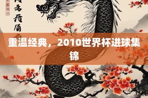 重温经典，2010世界杯进球集锦眉山市正发家政服务有限公司