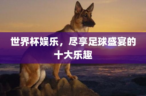 世界杯娱乐，尽享足球盛宴的十大乐趣