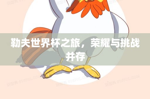 勒夫世界杯之旅，荣耀与挑战并存
