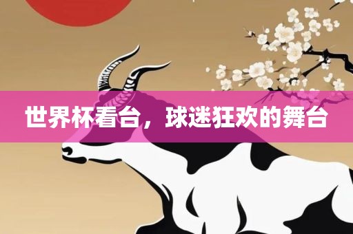 世界杯看台，球迷狂欢的舞台眉山市正发家政服务有限公司