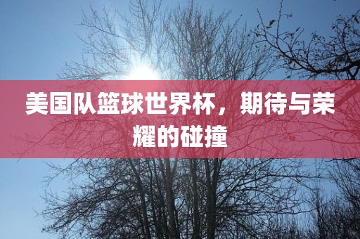 美国队篮球世界杯，期待与荣耀的碰撞眉山市正发家政服务有限公司