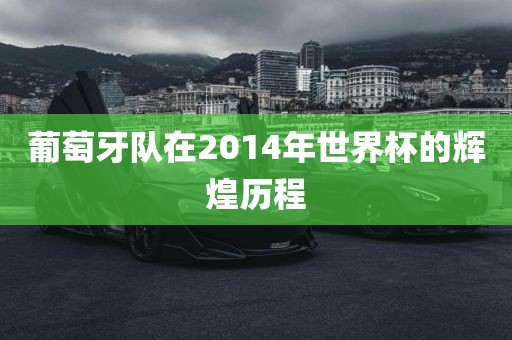 葡萄牙队在2014年世界杯的辉煌历程