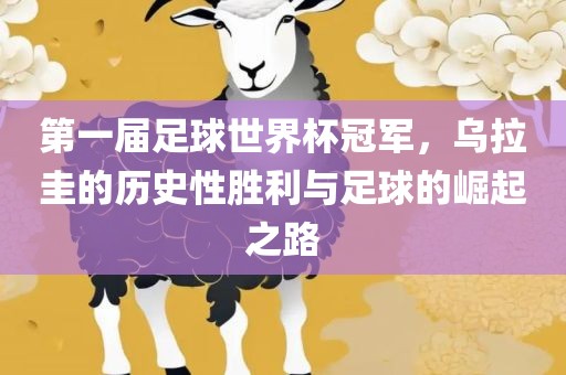 第一届足球世界杯冠军，乌拉圭的历史性胜利与足球的崛起之路眉山市正发家政服务有限公司